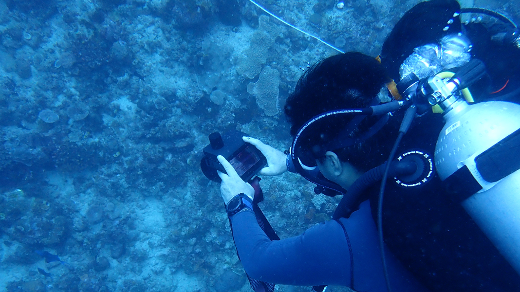 水下通信导航系统——在“香港城市大学海洋污染国家重点实验室”水下科研活动中的应用